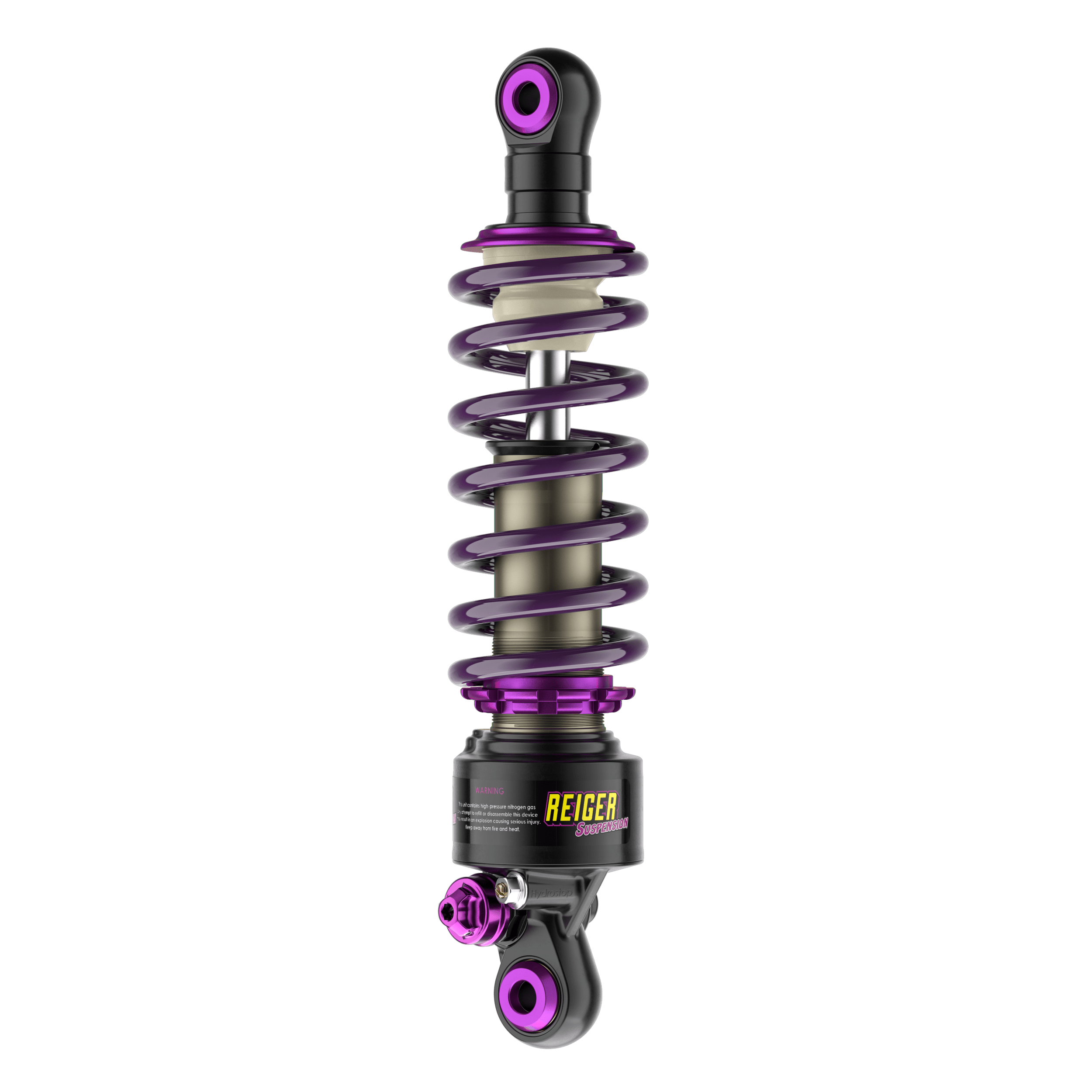 The 310 ❘ Reiger Suspension