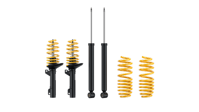 Home ❘ ST suspensions